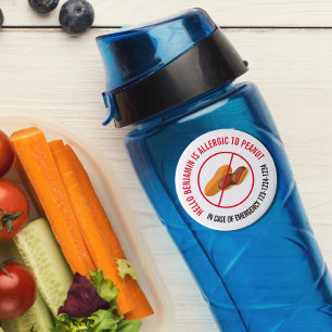 Peanut Allergy Classic Round Sticker