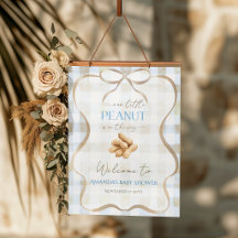 Peanut Boy Blue Gingham Baby Shower Welcome