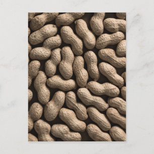 Peanut Family Postcard