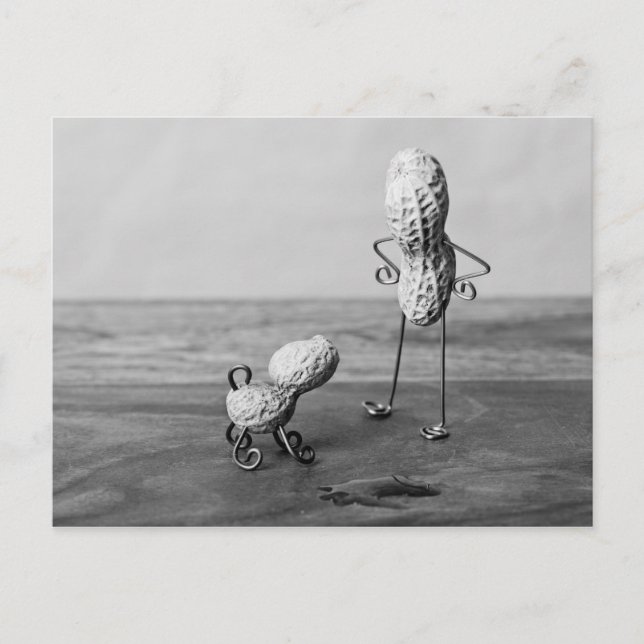 Peanut Man and Dog Postcard (Front)