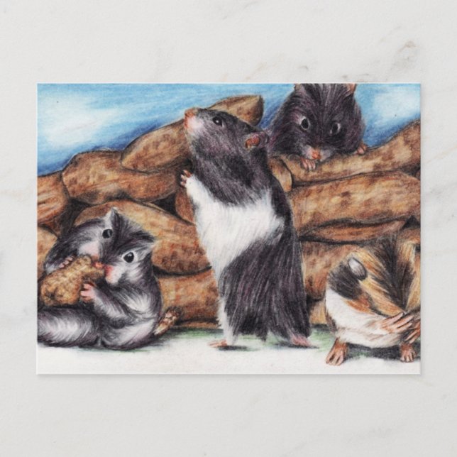 Peanut Masons (Hamster) Postcards (Front)