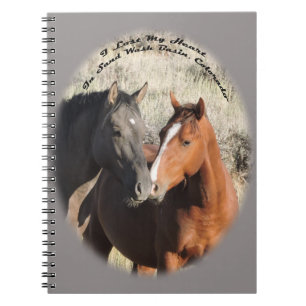 Peanut & Surma, stallions in Sand Wash Basin Notebook