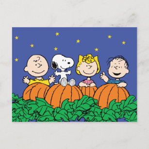 Peanuts   It's The Great Pumpkin Charlie Brown Postcard