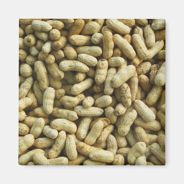 Peanuts Magnet (Front)