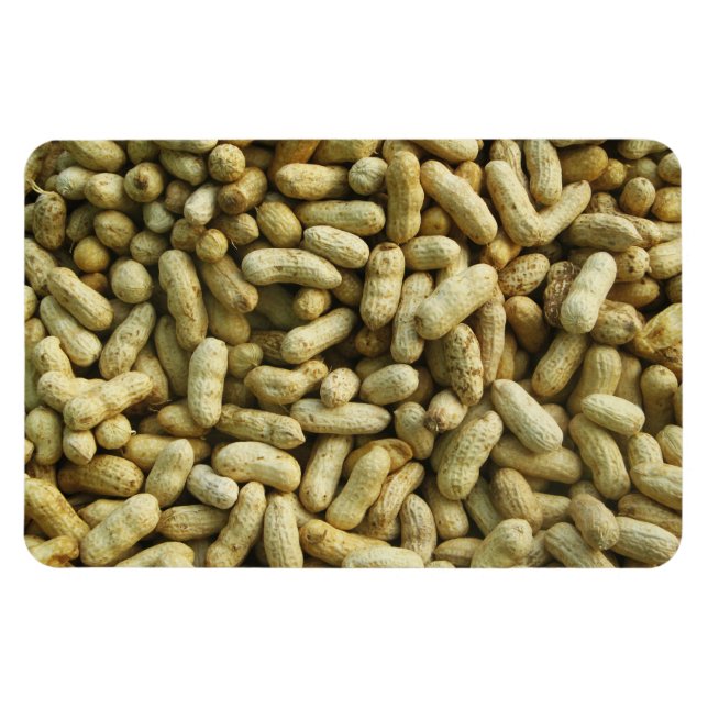 Peanuts Magnet (Horizontal)