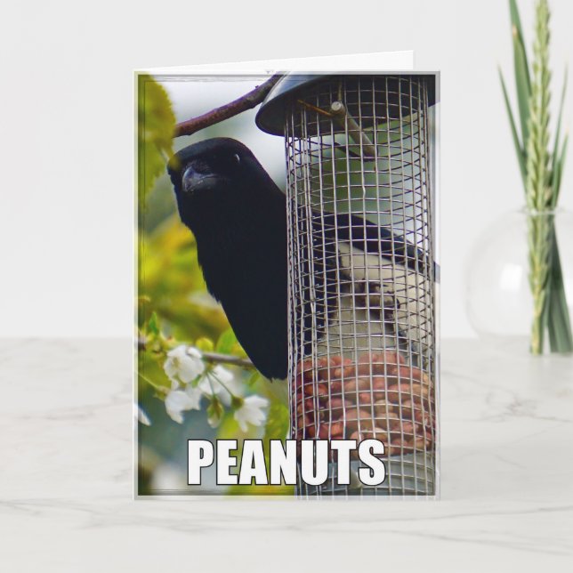 Peanuts Or Cake Magpie Birthday Card (Front)