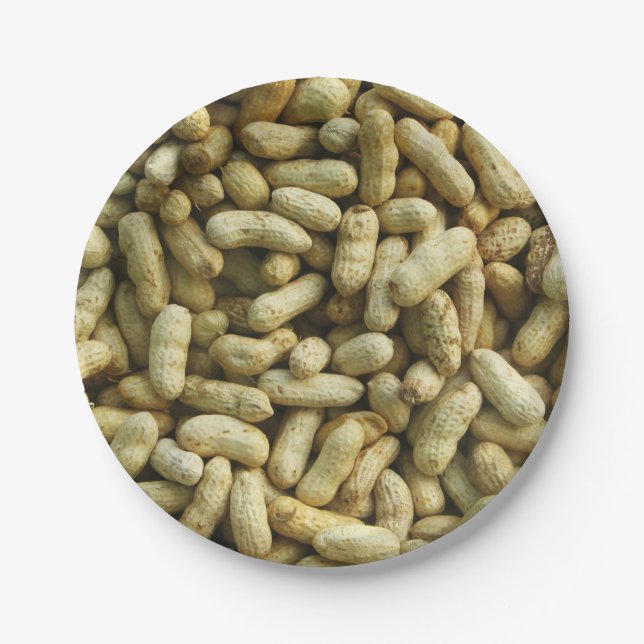 Peanuts Paper Plate (Front)