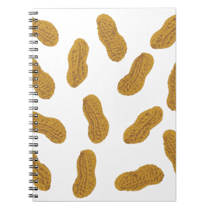 Peanuts pattern spiral notebook