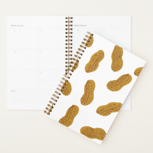 Peanuts Planner (Display)