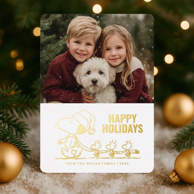 Peanuts Snoopy and Woodstock Holiday Photo (Creator Uploaded)