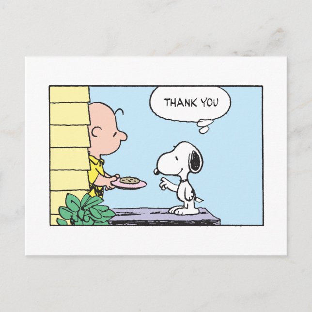 Peanuts | Snoopy & Charlie Brown Thank You Postcard (Front)