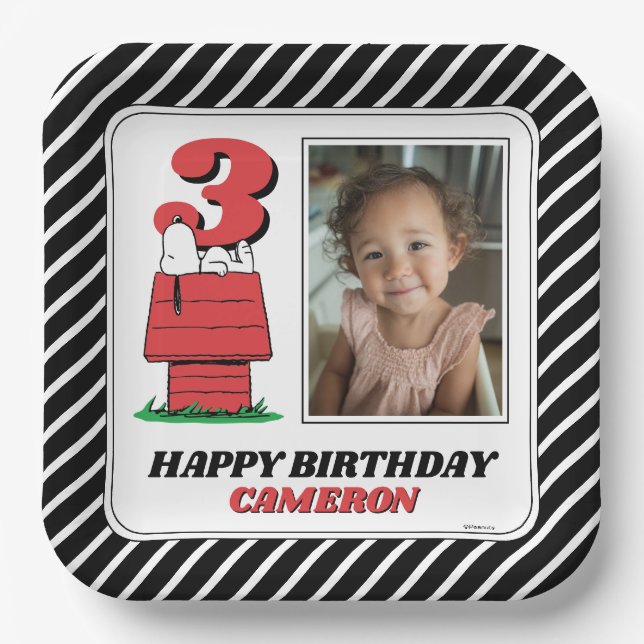 Peanuts Snoopy Dog House Birthday Paper Plates (Front)