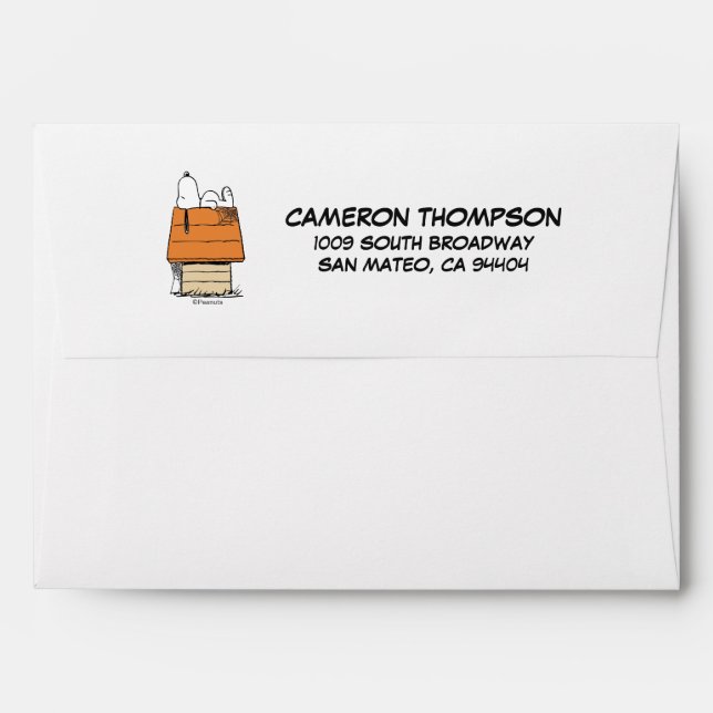 Peanuts | Snoopy Halloween Nap Envelope (Back (Top Flap))