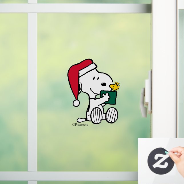 Peanuts | Snoopy Santa & Woodstock Gift (Home)