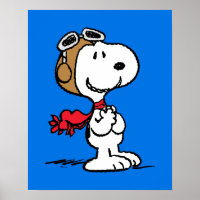 Peanuts | Snoopy The Flying Ace
