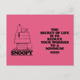 Peanuts   Snoopy The Secret To Life Postcard