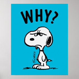 Peanuts   Snoopy Wonders Why? Poster