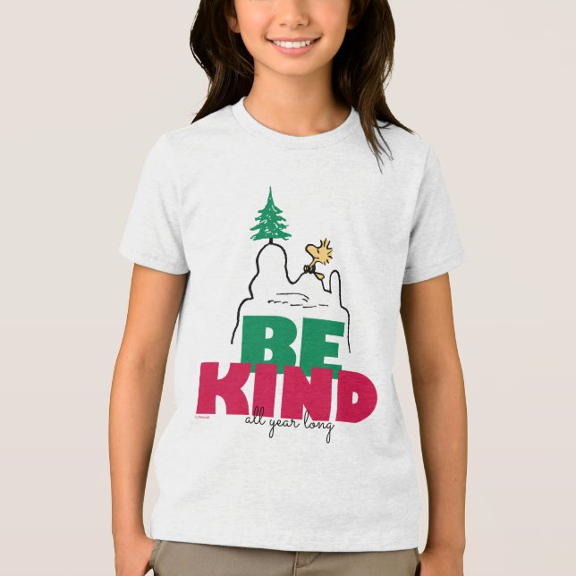 Peanuts | Snoopy & Woodstock Be Kind Tri-Blend Shirt (Front)