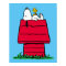 Peanuts | Snoopy & Woodstock Doghouse