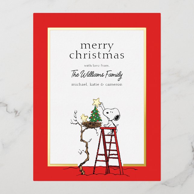 Peanuts | Snoopy & Woodstock Family Photo Foil Holiday Postcard (Front)