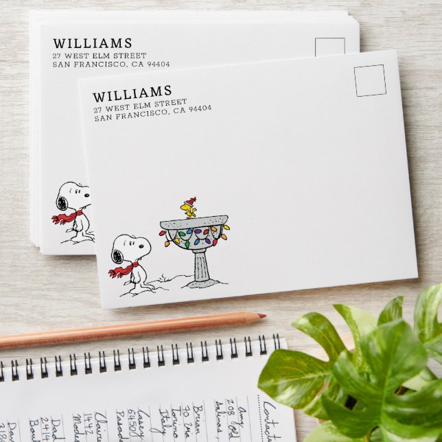 Peanuts | Snoopy & Woodstock Frozen Birdbath Envelope (Stacked)