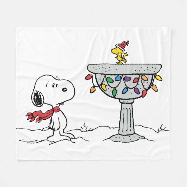 Peanuts | Snoopy & Woodstock Frozen Birdbath Fleece Blanket (Front (Horizontal))