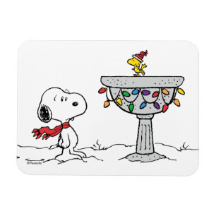 Peanuts   Snoopy & Woodstock Frozen Birdbath Magnet