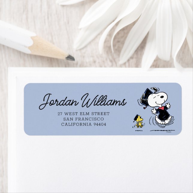Peanuts | Snoopy & Woodstock Graduation (Insitu)