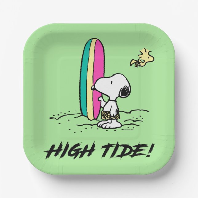 Peanuts | Snoopy & Woodstock High Tide Paper Plate (Front)