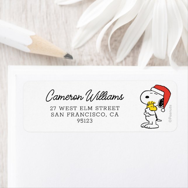 Peanuts | Snoopy & Woodstock Holiday Hugs (Insitu)