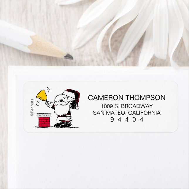 Peanuts | Snoopy & Woodstock Santa Bell Ringer (Insitu)