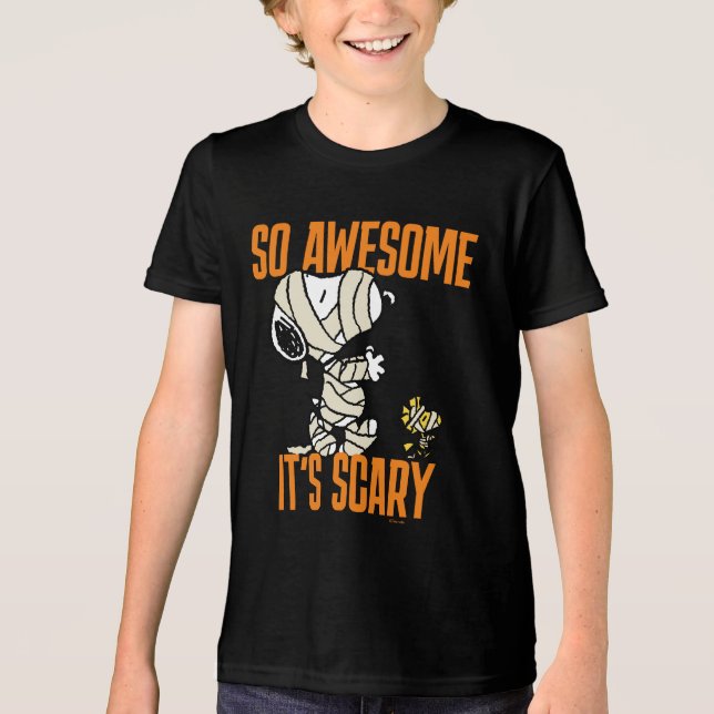 Peanuts | Snoopy & Woodstock So Awesome It's Scary Tri-Blend Shirt (Front)