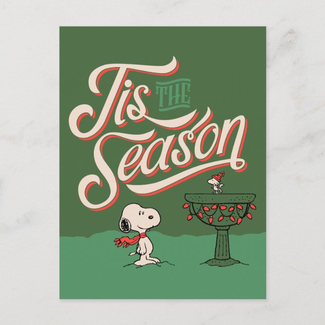 Peanuts | Snoopy & Woodstock Tis The Season Holiday Postcard (Front)