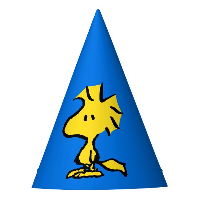 Peanuts | Snoopy's Friend Woodstock Party Hat (Front)