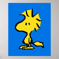 Peanuts | Snoopy's Friend Woodstock