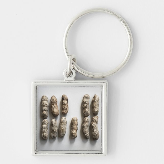Peanuts Still Life Fine Art Photograph  Key Ring (Front)