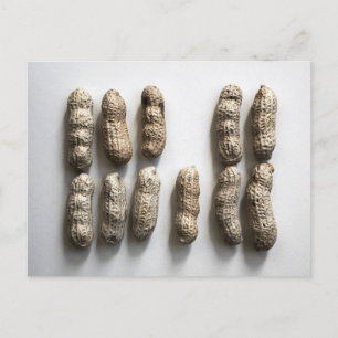 Peanuts Still Life Fine Art Photograph Postcard