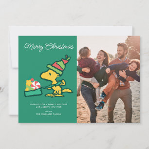 Peanuts   The More The Merrier Holiday Card