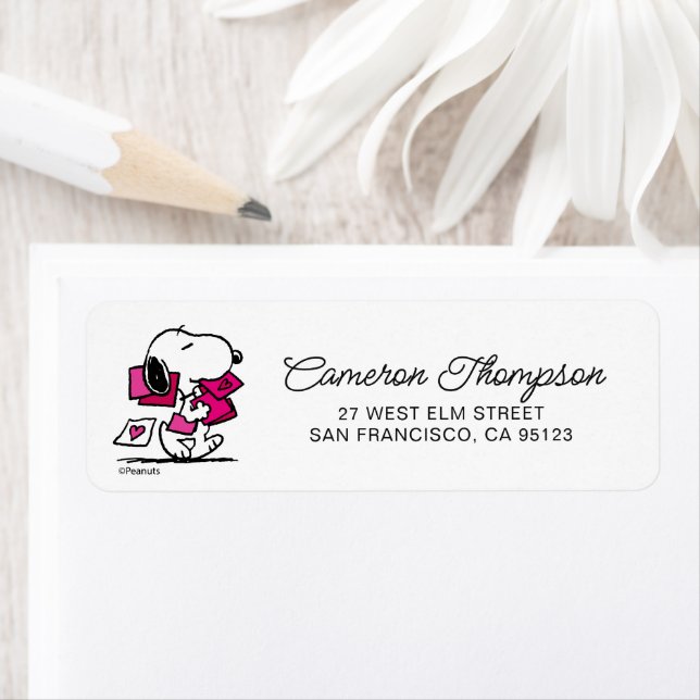 Peanuts | Valentine's Day | Snoopy With Valentines (Insitu)