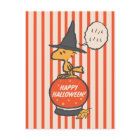 Peanuts | Vintage Woodstock Witch Stripes