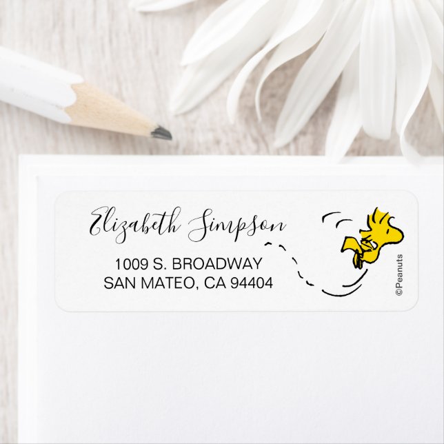 Peanuts | Woodstock Baby Shower (Insitu)