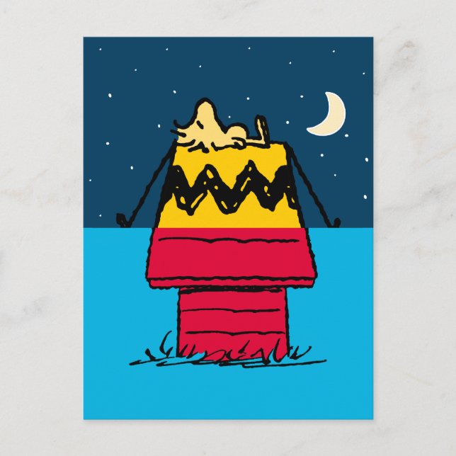 Peanuts | Woodstock Camping Half & Half Postcard (Front)