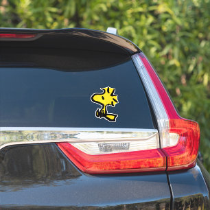 Peanuts   Woodstock Looking Ahead