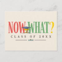 Peanuts Woodstock Now What Graduation Funny Quote