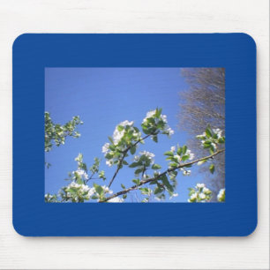 Pear Blooms In Deep Blue Sky Mouse Pad