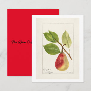 Pear Branch (Pyrus Communis)(1893) Small Card