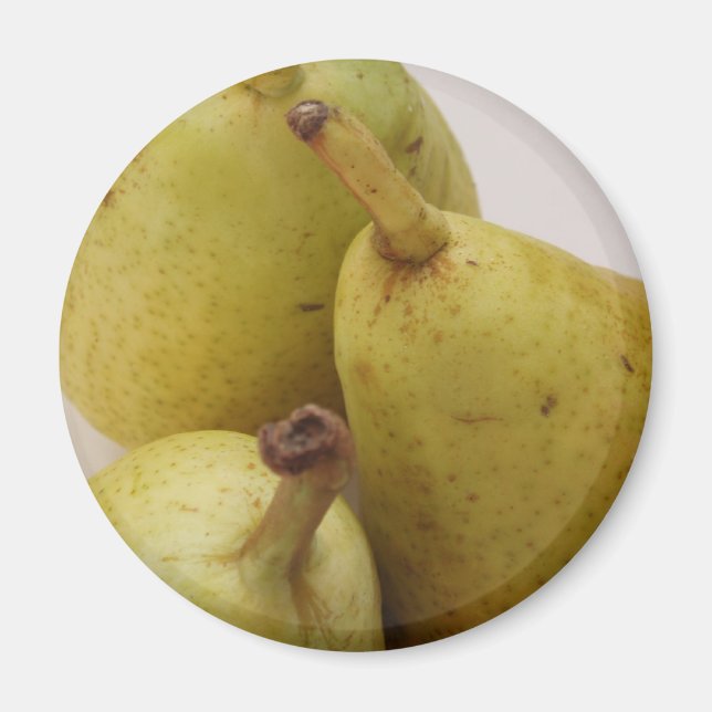 Pear Fruit Magnet (Front)