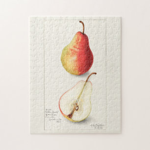 Pear (Pyrus Communis) Fruit Watercolor Painting Jigsaw Puzzle