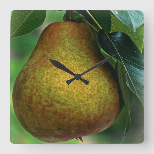 Pear Square Wall Clock (Front)