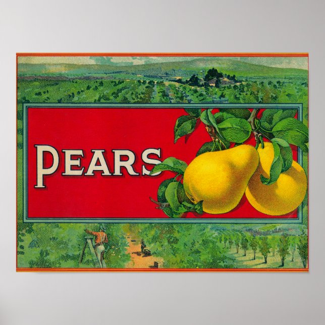 Pear Stock Crate Label Poster (Front)